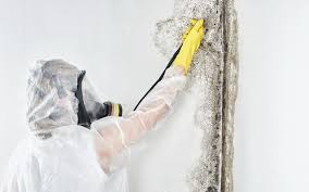 Best Emergency Mold Remediation  in Kincaid, IL